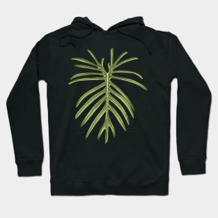 Philodendron Elegans Beauty Big Leaf Hoodie